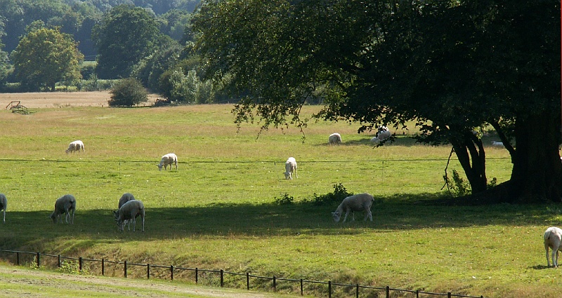 84 Chawton HouseJPG.JPG - 84 Chawton House